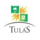 Tulas International School Logo