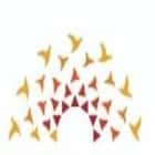 Birla Open Minds International School Logo
