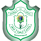 Delhi Public School Logo
