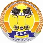 BSM Global School Logo