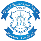 Carmel International School Logo