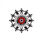 Panchshil Higher Secondary School Logo