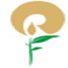 Reliance Foundation School Logo