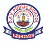 DAV Public School Logo