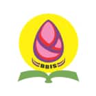 Budding Brains International School Logo