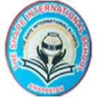 The Shape International School Amarpatan Logo