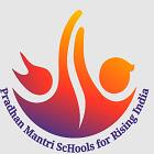 PM Shri Government Senior Secondary School Lodhar Logo