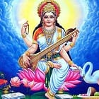 Saraswati Bal Mandir School Logo