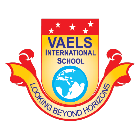 Vaels International School Logo