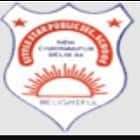 Little Star Public School Logo