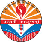 RNS World School Logo