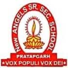 New Angels Senior Secondary School Logo