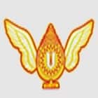 Shri Ram School Logo