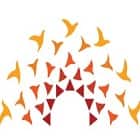Birla Open Minds School Logo