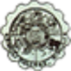 Rimuli College Logo
