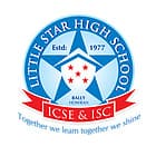 Little Star High School Logo