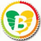Brahma Valley Public school and Junior College Logo