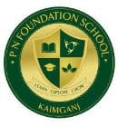 P.N. Foundation School Logo