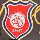 Aneja City Heart School Logo