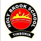 Holy Brook Senior Secondary School Logo