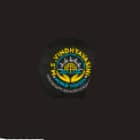 M.S Vindhyavasini World School Logo