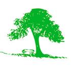 The Valley School Logo