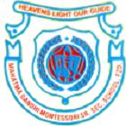 Mahatma Gandhi Montessori Senior Secondary School Logo