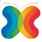 Bangalore International Kids High Logo