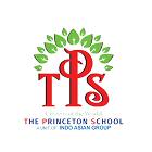 The Princeton School Logo