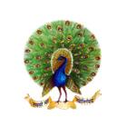Mayoor Chopasni School Logo