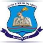 Navyug Public Senior Secondary School Logo
