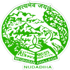 Meghasan College Logo