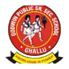 Godwin Public School Logo