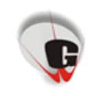 GD Goenka International School Logo