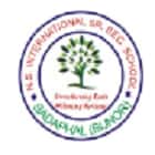 N.S. International School Logo