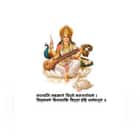 Haryana Model School Logo