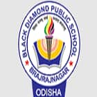 Black Diamond Public School Logo