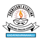 Sterling English Residential & Pre- University College Logo