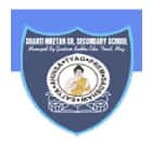 Shanti Niketan Senior Secondary School Logo