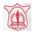 Radhika International School Logo