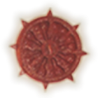 Dr Vijaypat Singhania School Logo