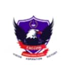 Falcon International School Logo