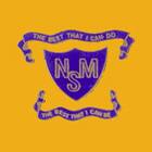 New Millennium School Logo