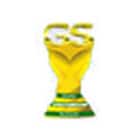 G S Shetty International School Logo