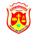 Mount Carmel School Logo
