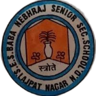 S E S Baba Nebhraj Senior Secondary School Logo