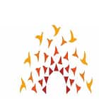 Birla Open Minds International School Logo