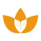 Tulips International School