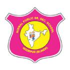 Nirmal Public School Logo