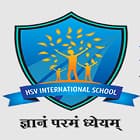 H S V International School Logo